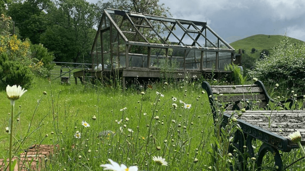 Online Garden Designer | Landscape Gardeners UK | Professional Gardener Near Me